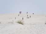 Escursione alle Dune di sabbia
