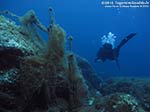 Porto Pino foto subacquee - 2012 - Reti abbandonate da anni, inutili trappole mortali per tutti gli organismi marini