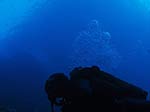 Porto Pino foto subacquee - Agosto 2013 - 2013 - Subacqueo e parete di C.Teulada vista dal profondo