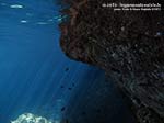 Porto Pino foto subacquee - Settembre 2013 - 2013 - I raggi del sole