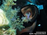 Porto Pino foto subacquee - 2015 - Nudibranco flabellina (Flabellina affinis) e subacqueo