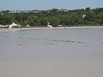Calasetta - Stagno della Spiaggia Le Saline