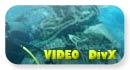 video subacqueo avi divx del relitto del motore dell\'aereo - 1