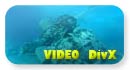 video subacqueo avi divx del relitto del motore dell\'aereo - 2