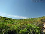 Campagna di Cala della Signora