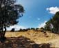 panorama 360° sferico spherical - S.Anna Arresi Villaggio nuragico<br/>Coi Casu
