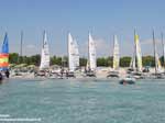 Gli equipaggi armano gli hobie