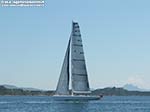 LNI Sulcis - In molti son rimasti affascinati da questa barca inglese (red ensign a poppavia) che volteggiava (si, non navigava, proprio volava) poco al di l del campo di regata degli Open Bic. 